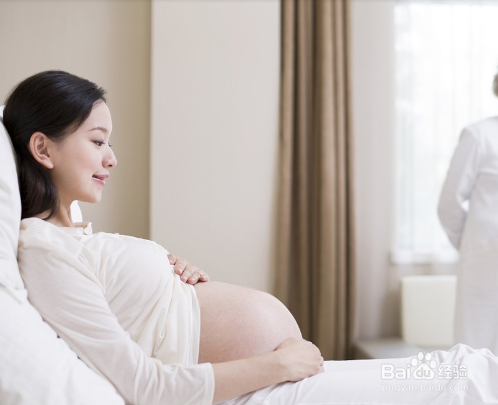 女人吃滋秋海参的好处