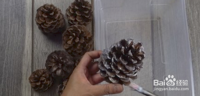 如何制作肉桂香味松果？