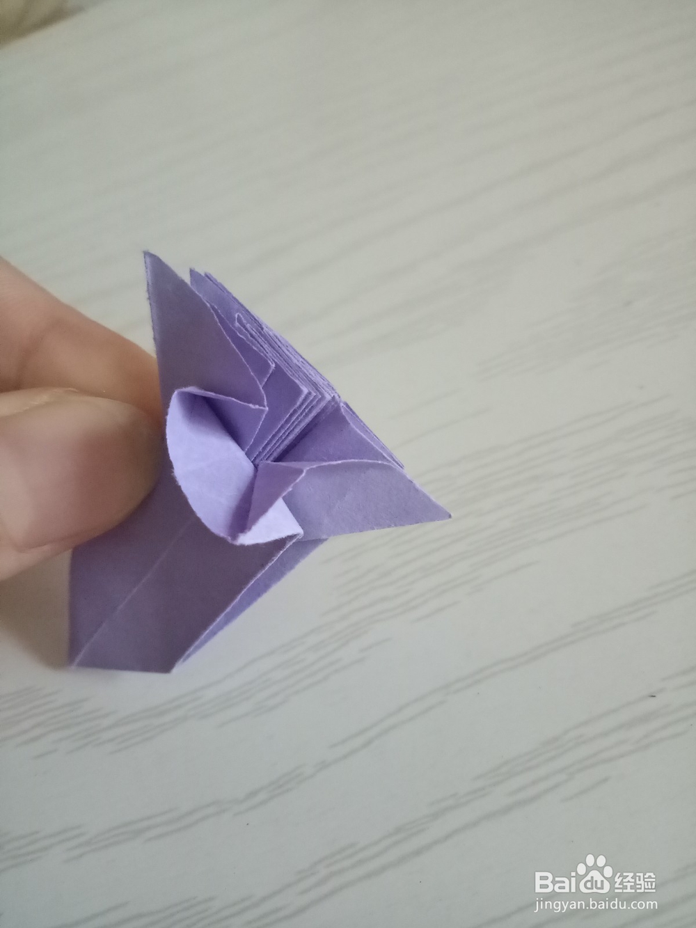 牵牛花折叠方法 下