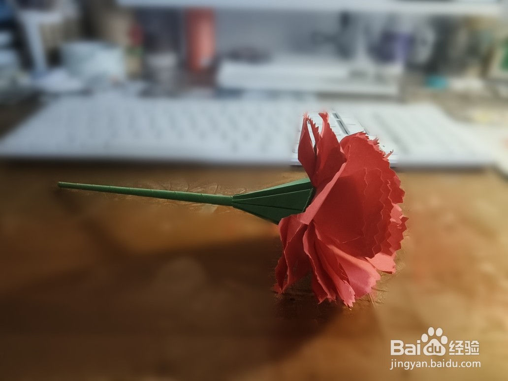 母亲节到了,我教大家用纸做一朵康乃馨