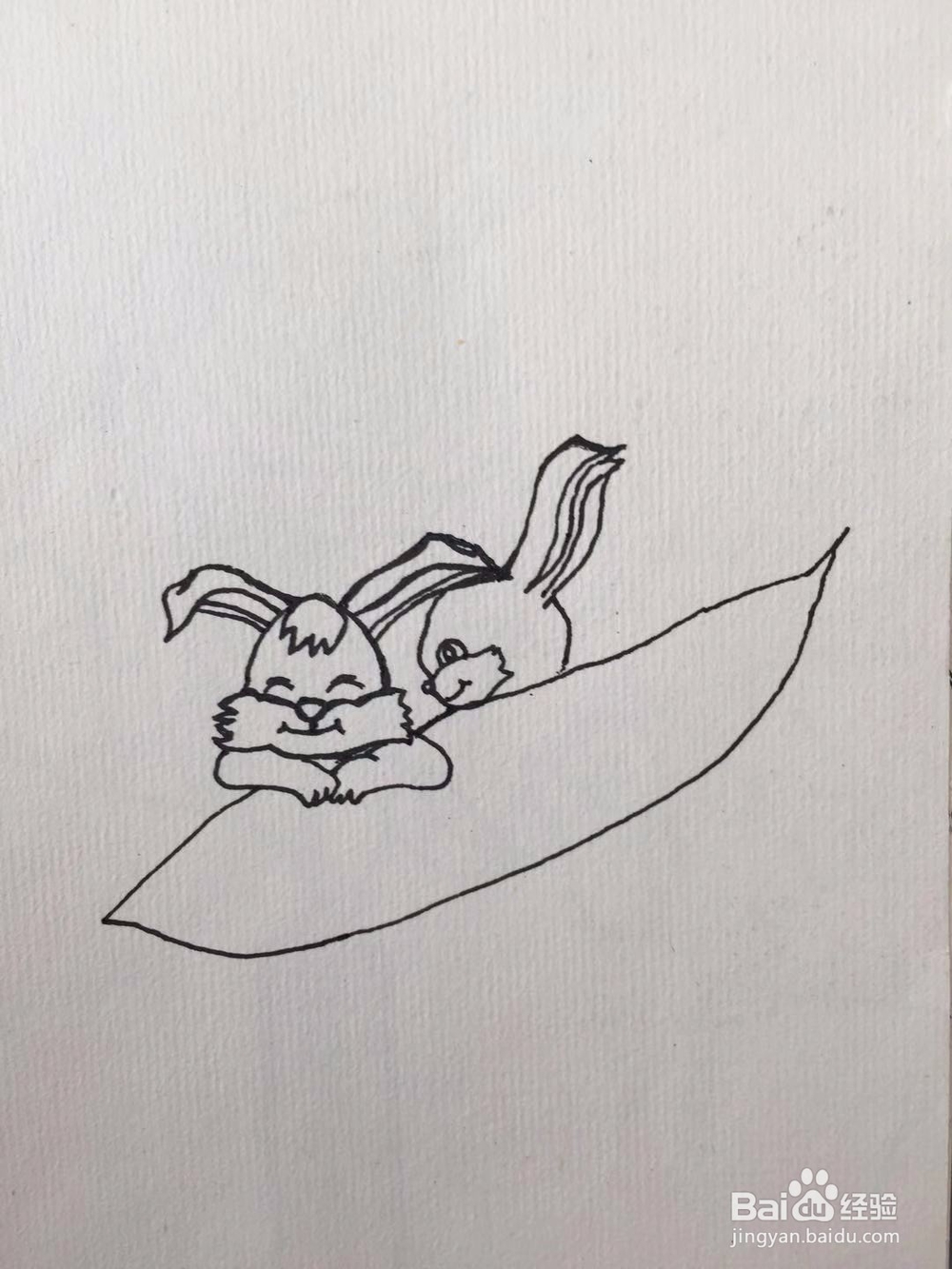 茉莉水彩手绘之抱着萝卜的兔兔
