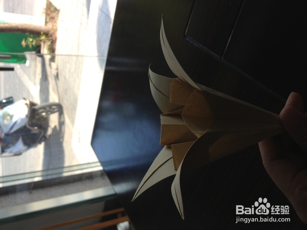 怎样折纸百合花