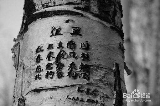 背诵文言文有什么技巧