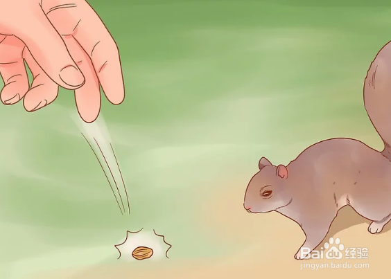如何用手给松鼠喂食