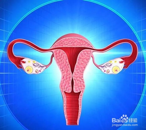 想要增加怀孕几率，要注意哪些事项?(下)