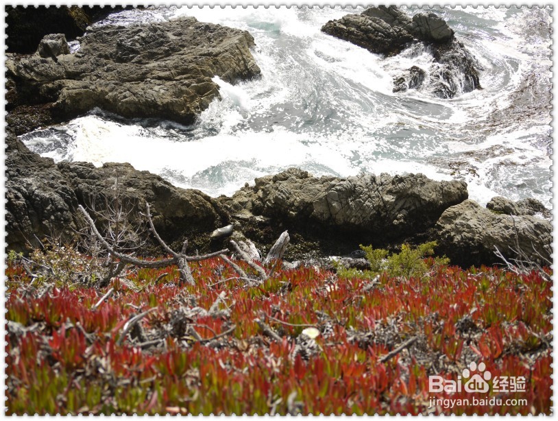 怎样游玩美国一号公路景点?