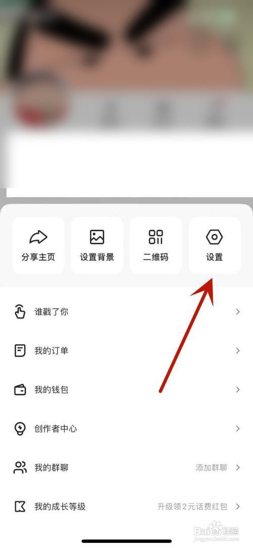 快手如何开启弹幕功能