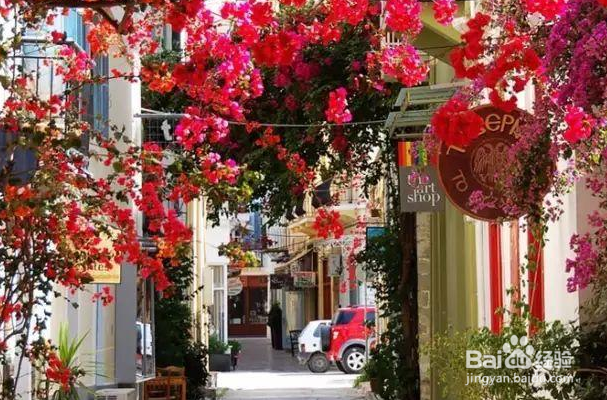 法国颜值最高的