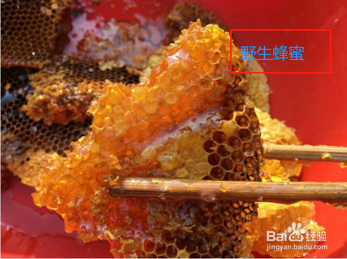 怎么去除脸上的痘印