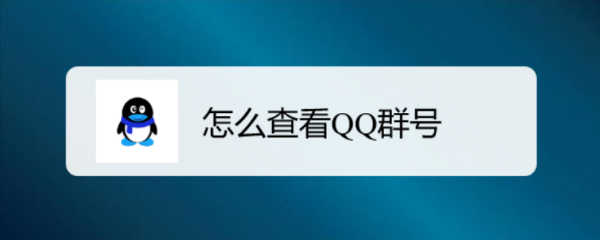 怎么查看QQ群号