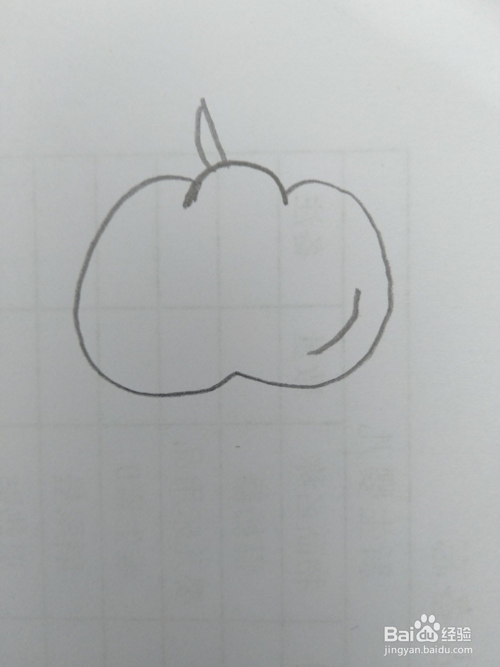 简笔画柿子画法四