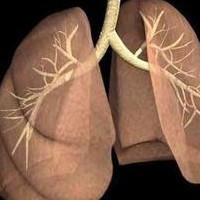 粉刺如何去除——中医养生系列