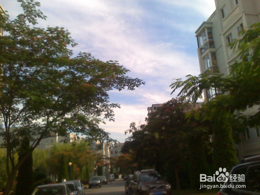 怎样告诉孩子什么是天然的氧吧--13