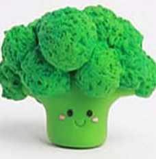 西兰花DIY创意小书屋微景观做法