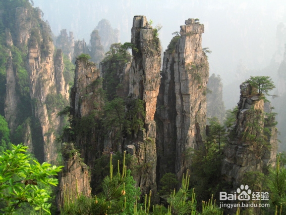 广州到张家界自驾游