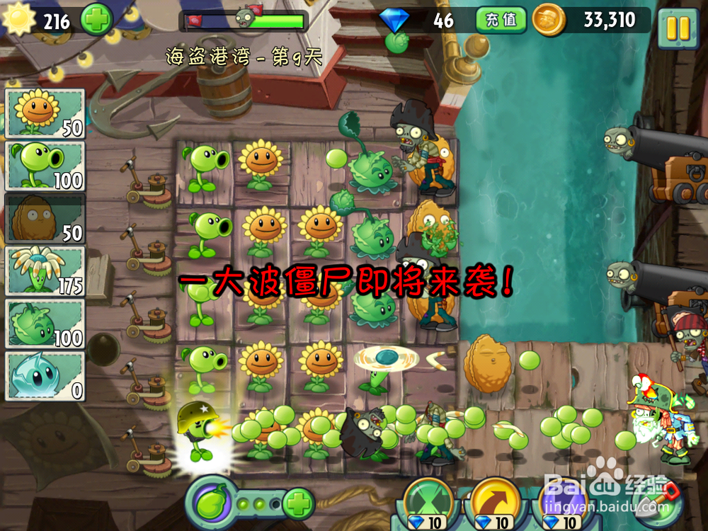 植物大战僵尸2 海盗港湾 第九天