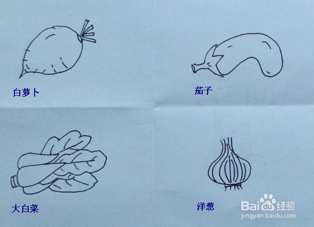 <b>蔬菜画法教程（白萝卜、大白菜、茄子、洋葱）</b>