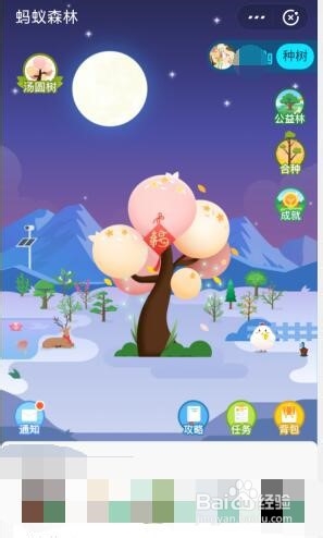 蚂蚁森林汤圆树装扮怎么获得
