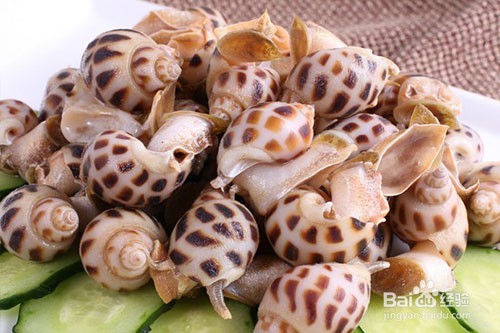 鉴别布氏朱砂螺的具体方法