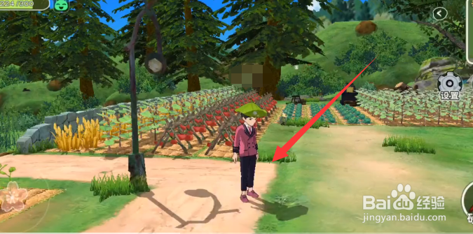 小森生活中如何收割番茄