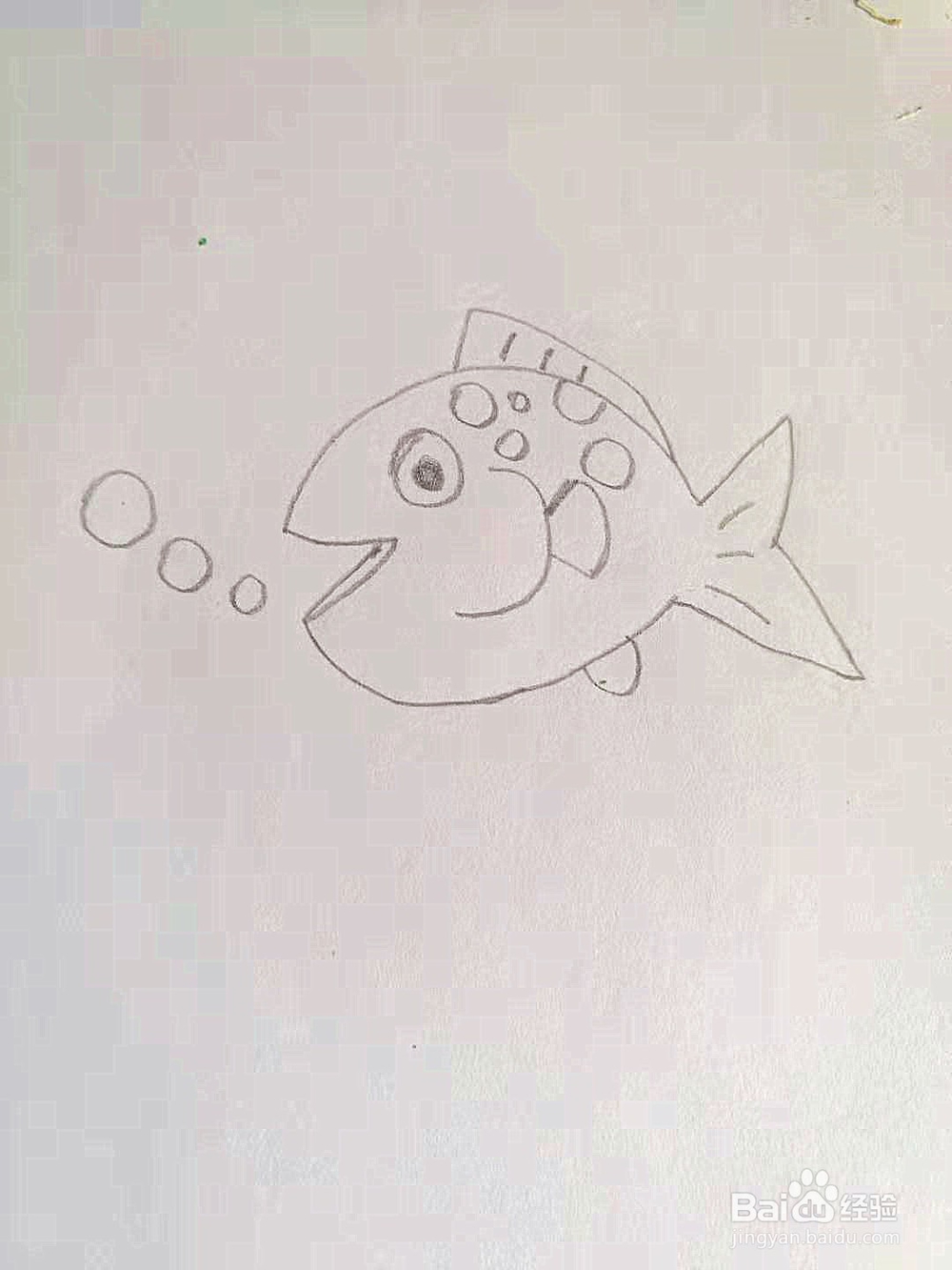 幼儿园简笔画教程：小鱼