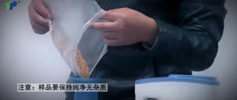谷物水分快速测定仪的用法
