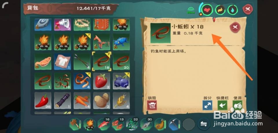 创造与魔法鳐鱼在哪里钓