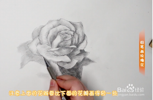 铅笔画玫瑰花步骤教程