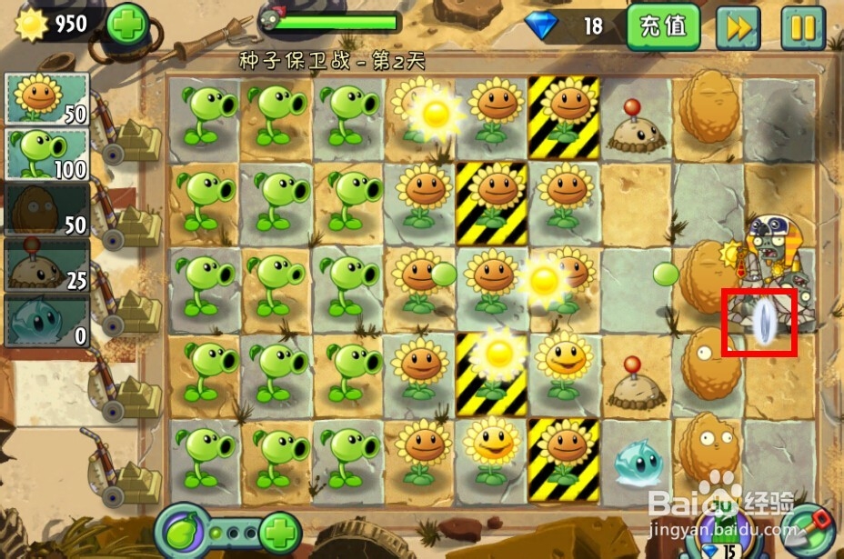 植物大战僵尸2：第2天的种子保卫战