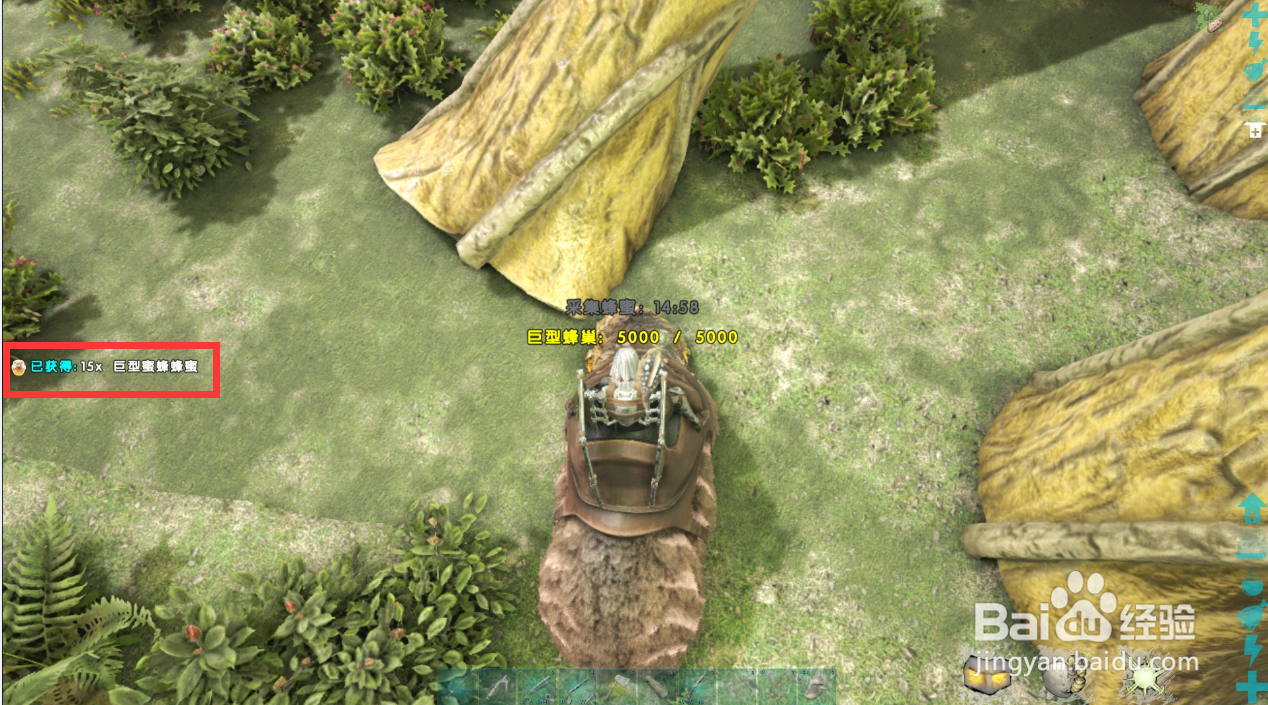 方舟恐熊怎么掏蜜蜂