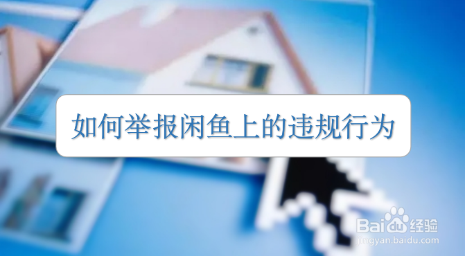 如何举报闲鱼上的违规行为