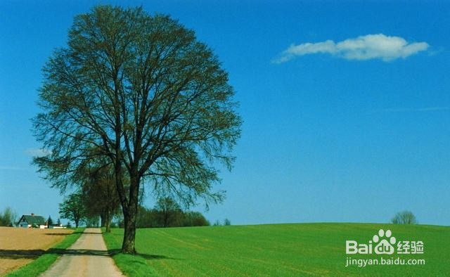 如何用ps画彩虹（详解）