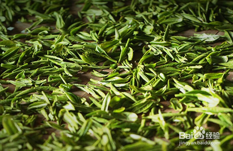 政和白茶茶叶保存的六大要素介绍