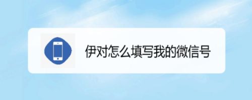 伊对怎么填写我的微信号