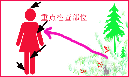 有蜱虫怎么办