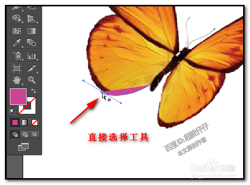 illustrator钢笔工具怎么用 AI如何用钢笔描图形