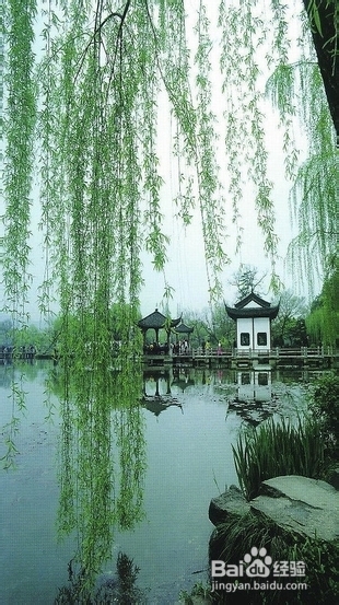 如何成为优秀的老板（告诉你我10年才搞懂的事）