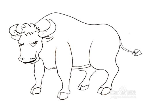 牛的简笔画分步画法 百度经验 牛的简笔画分步画法 百度经验