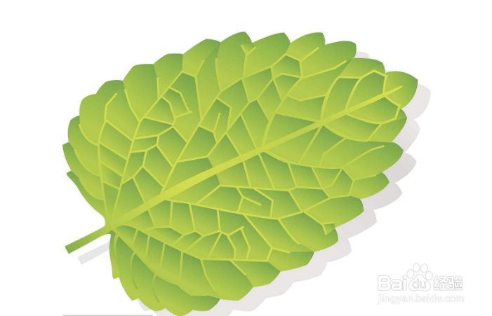 巧记初一英语单词（二十）