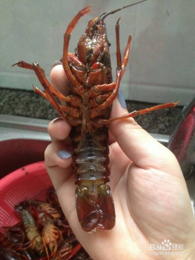 香辣小龙虾排档