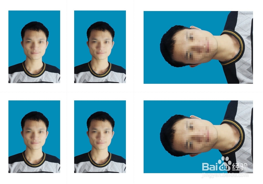 isee图片专家：[26]证件照如何排版