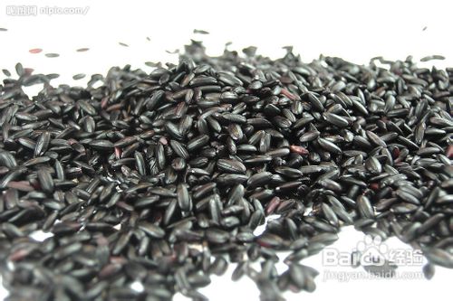 黑米的营养价值