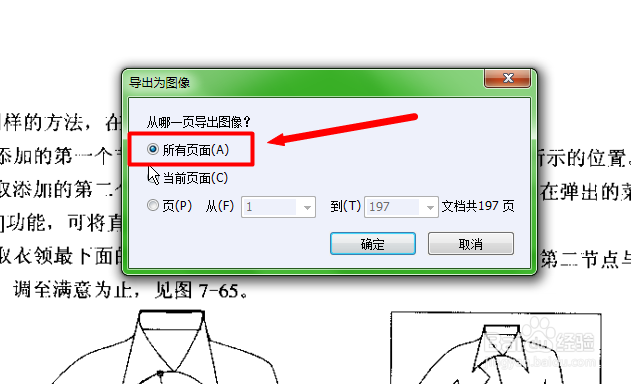 如何将PDF文件快速转换为图片格式