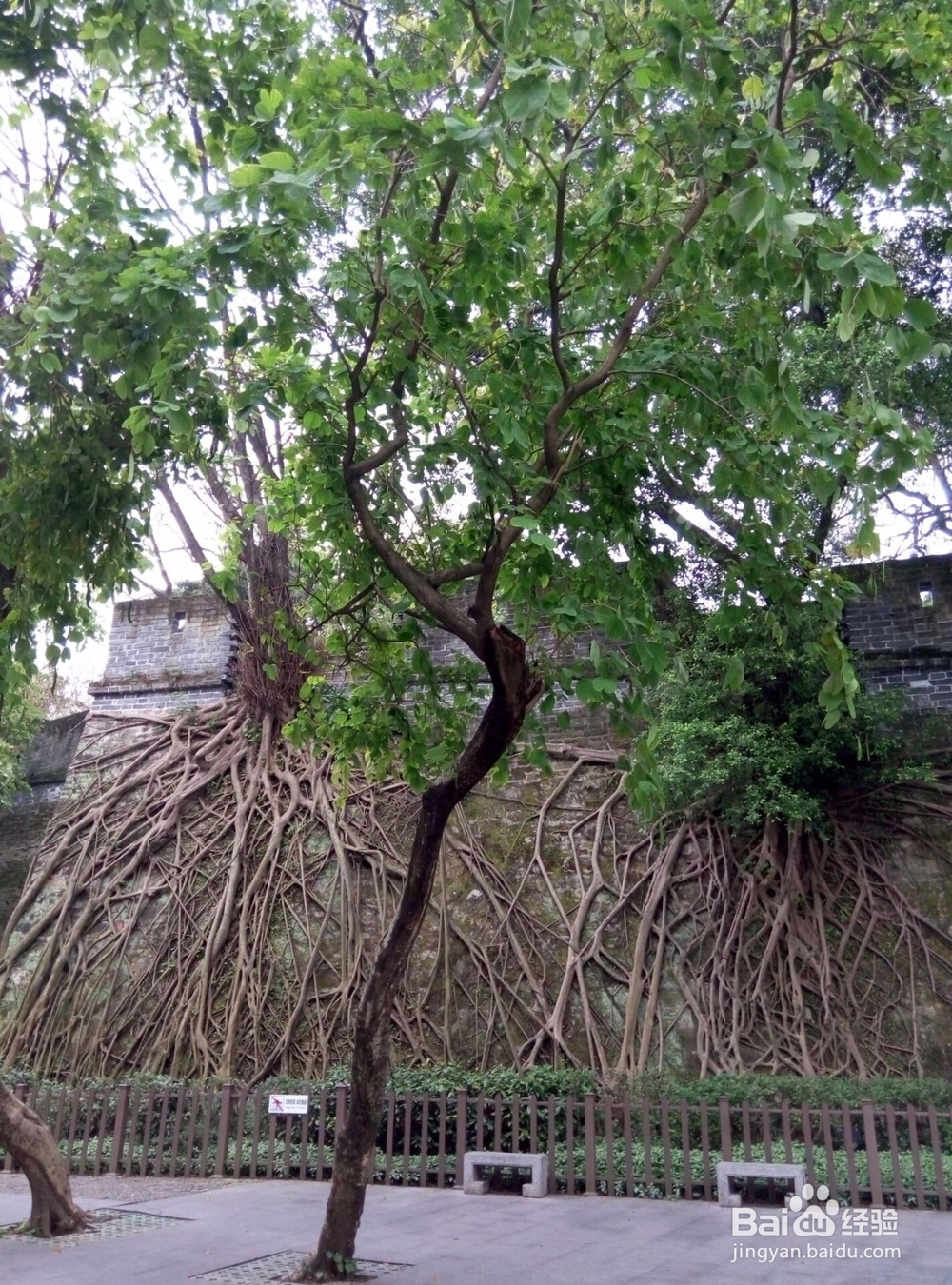 节假日或者周末广州有哪些好去处呢