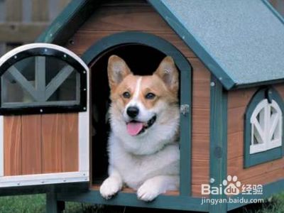 动物的家名称大全 百度经验