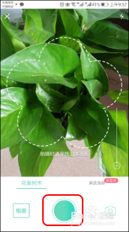 使用识花APP【形色】识别各种植物、花草、果蔬