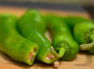 如何在家中做出好吃美味的青椒酿肉!