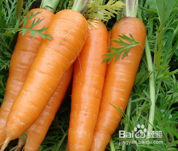 女人最该吃的滋补食物