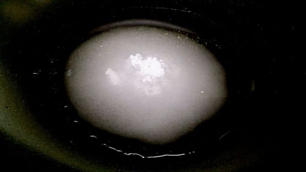 黑黑鸡蛋酥糖蘸