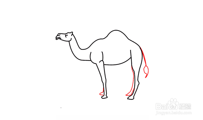 骆驼画法步骤图片